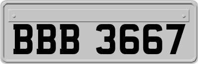 BBB3667