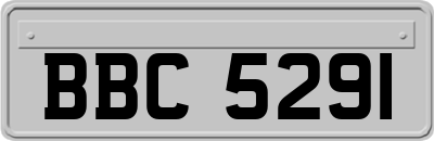 BBC5291