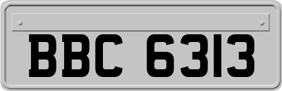 BBC6313