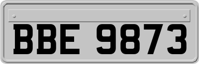 BBE9873