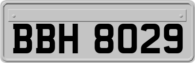 BBH8029