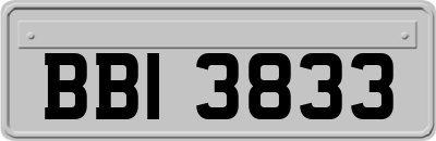 BBI3833
