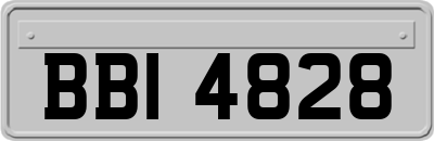 BBI4828