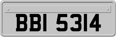 BBI5314
