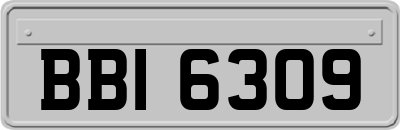 BBI6309