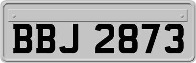 BBJ2873