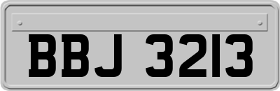 BBJ3213