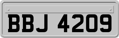 BBJ4209