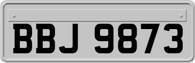 BBJ9873