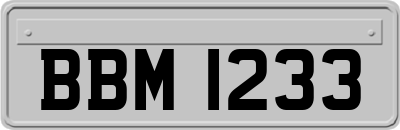 BBM1233