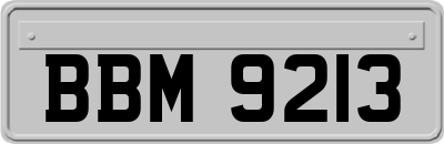 BBM9213