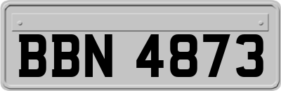 BBN4873