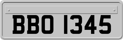 BBO1345