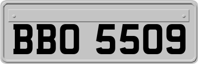 BBO5509