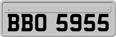 BBO5955