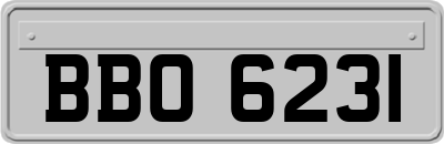 BBO6231