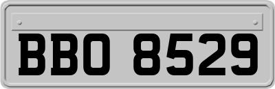 BBO8529