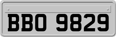 BBO9829