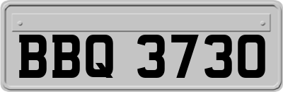 BBQ3730
