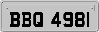 BBQ4981