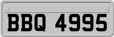 BBQ4995