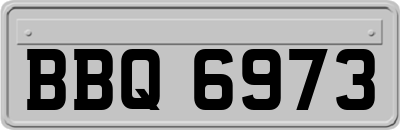 BBQ6973