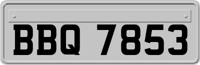 BBQ7853