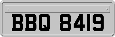 BBQ8419