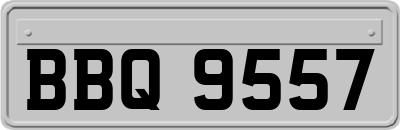 BBQ9557