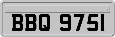 BBQ9751