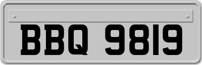 BBQ9819