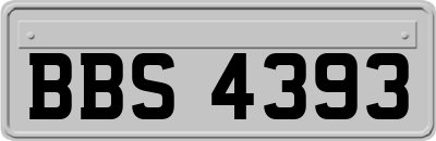BBS4393
