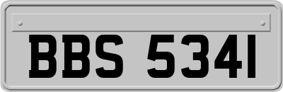 BBS5341