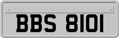 BBS8101
