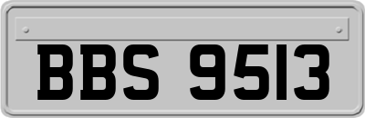 BBS9513