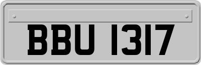 BBU1317
