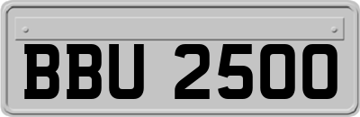 BBU2500