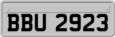 BBU2923