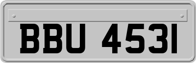 BBU4531
