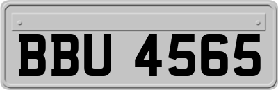 BBU4565