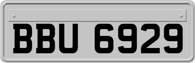 BBU6929