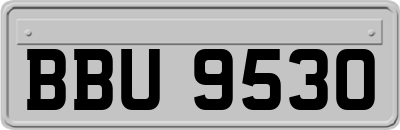 BBU9530