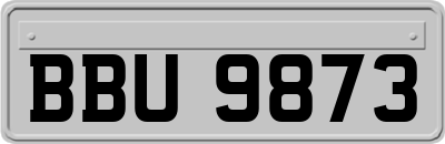 BBU9873