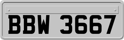 BBW3667