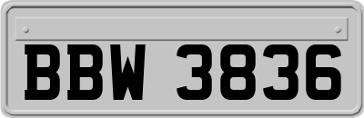 BBW3836
