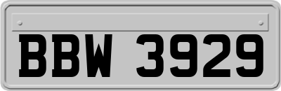 BBW3929