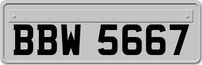 BBW5667
