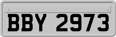 BBY2973