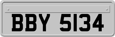 BBY5134