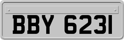 BBY6231